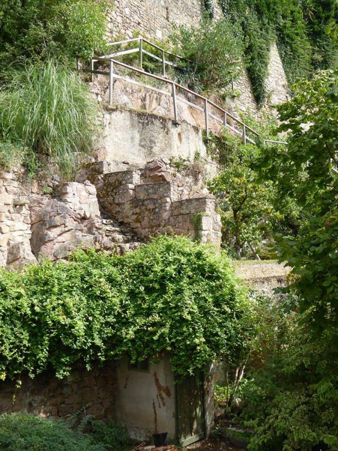 فيلا Etape Du Pont Pinard سيمور-إن-اوكسيوس المظهر الخارجي الصورة